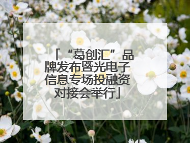 “葛创汇”品牌发布暨光电子信息专场投融资对接会举行