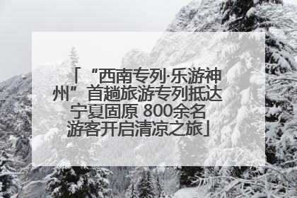 “西南专列·乐游神州”首趟旅游专列抵达宁夏固原 800余名游客开启清凉之旅