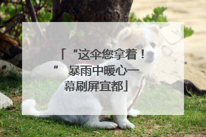 “这伞您拿着！” 暴雨中暖心一幕刷屏宜都