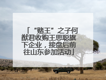 “赌王”之子何猷君收购王思聪旗下企业，接盘后前往山东参加活动