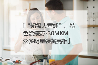 “超级大黄蜂”、特色涂装苏-30MKM 众多明星装备亮相