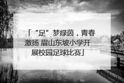 “足”梦绿茵，青春激扬 眉山东坡小学开展校园足球比赛