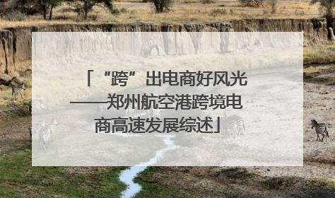 “跨”出电商好风光——郑州航空港跨境电商高速发展综述