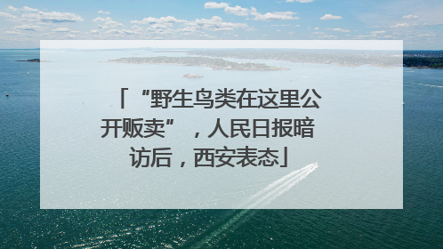 “野生鸟类在这里公开贩卖”，人民日报暗访后，西安表态