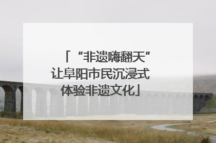 “非遗嗨翻天”让阜阳市民沉浸式体验非遗文化