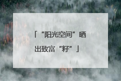“阳光空间”晒出致富“籽”