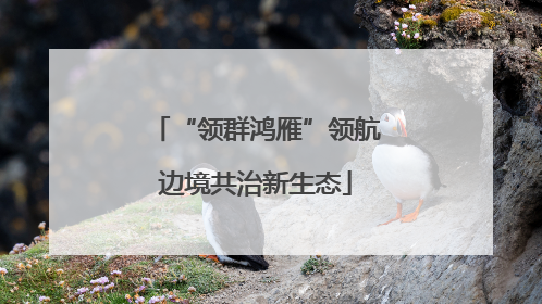 “领群鸿雁”领航边境共治新生态