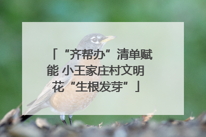 “齐帮办”清单赋能 小王家庄村文明花“生根发芽”
