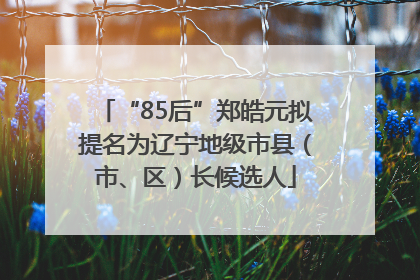 “85后”郑皓元拟提名为辽宁地级市县（市、区）长候选人