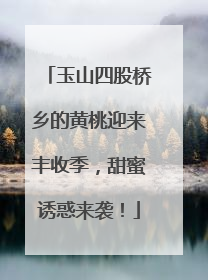 玉山四股桥乡的黄桃迎来丰收季，甜蜜诱惑来袭！