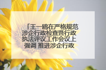 王一鸥在严格规范涉企行政检查暨行政执法评议工作会议上强调 推进涉企行政检查质效大幅提升
