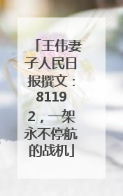 王伟妻子人民日报撰文：81192，一架永不停航的战机