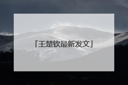 王楚钦最新发文