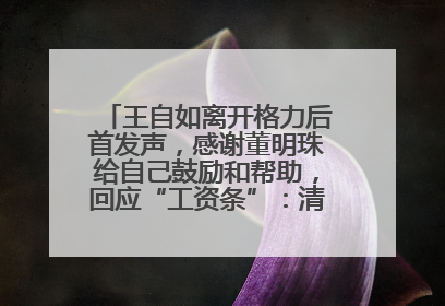 王自如离开格力后首发声，感谢董明珠给自己鼓励和帮助，回应“工资条”：清楚自己要什么，工资条不重要