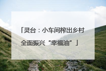 灵台：小车间榨出乡村全面振兴“幸福油”