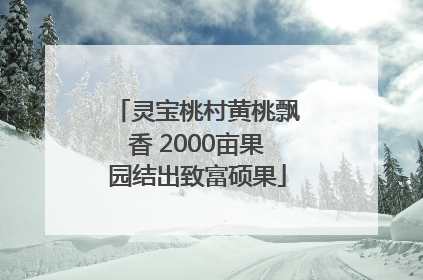 灵宝桃村黄桃飘香 2000亩果园结出致富硕果