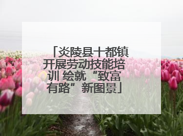炎陵县十都镇开展劳动技能培训 绘就“致富有路”新图景
