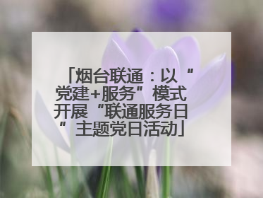 烟台联通：以“党建+服务”模式开展“联通服务日”主题党日活动