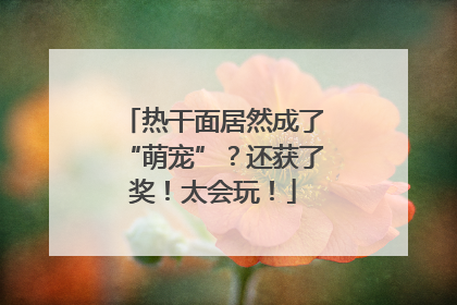 热干面居然成了“萌宠”？还获了奖！太会玩！