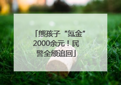熊孩子“氪金”2000余元！民警全额追回