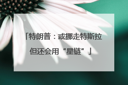 特朗普：或挪走特斯拉 但还会用“星链”