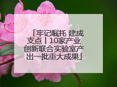 牢记嘱托 建成支点丨10家产业创新联合实验室产出一批重大成果