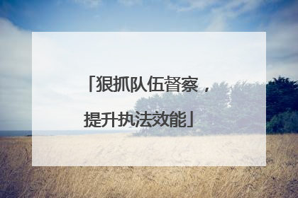 狠抓队伍督察，提升执法效能