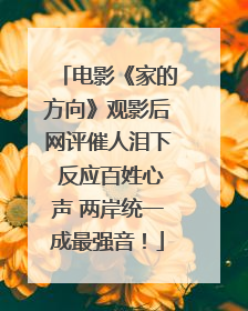 电影《家的方向》观影后网评催人泪下 反应百姓心声 两岸统一成最强音！