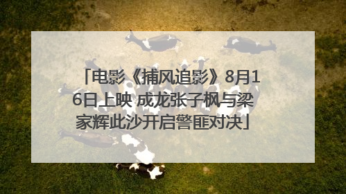 电影《捕风追影》8月16日上映 成龙张子枫与梁家辉此沙开启警匪对决