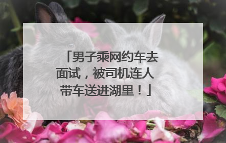 男子乘网约车去面试，被司机连人带车送进湖里！