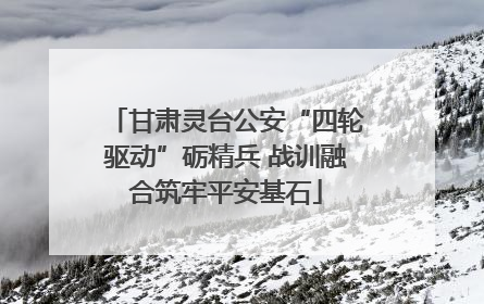甘肃灵台公安“四轮驱动”砺精兵 战训融合筑牢平安基石