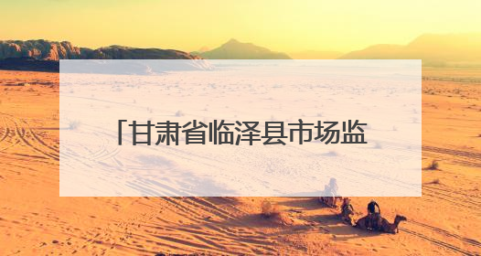 甘肃省临泽县市场监管局：护航“夜经济” 守护“烟火气”