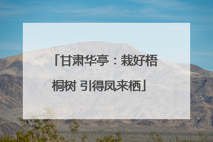 甘肃华亭：栽好梧桐树 引得凤来栖