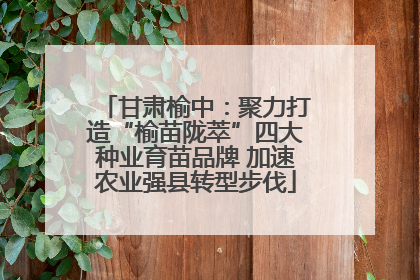 甘肃榆中：聚力打造“榆苗陇萃”四大种业育苗品牌 加速农业强县转型步伐