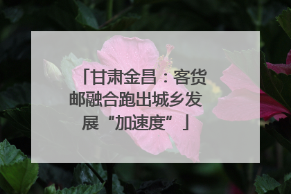 甘肃金昌：客货邮融合跑出城乡发展“加速度”