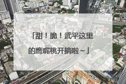 甜！脆！武平这里的鹰嘴桃开摘啦～