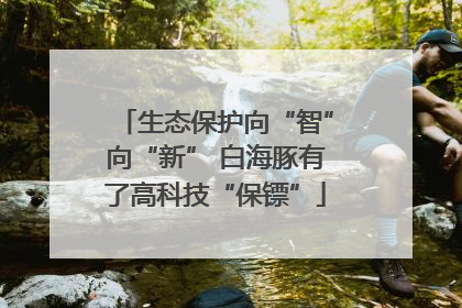 生态保护向“智”向“新” 白海豚有了高科技“保镖”