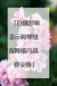 白俄罗斯表示将继续保障俄乌战俘交换