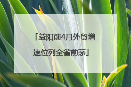益阳前4月外贸增速位列全省前茅