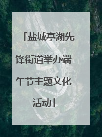 盐城亭湖先锋街道举办端午节主题文化活动