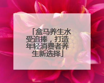 盒马养生水受追捧，打造年轻消费者养生新选择