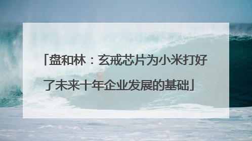 盘和林：玄戒芯片为小米打好了未来十年企业发展的基础