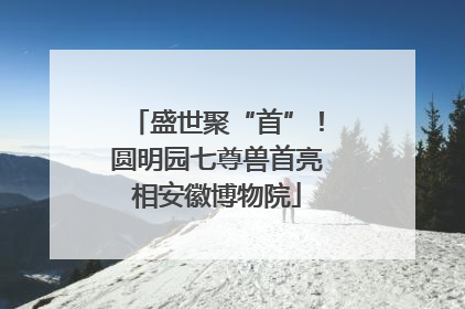 盛世聚“首”！圆明园七尊兽首亮相安徽博物院