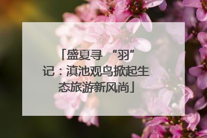 盛夏寻 “羽” 记：滇池观鸟掀起生态旅游新风尚
