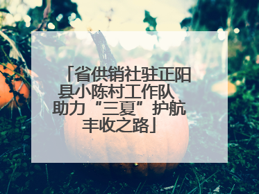 省供销社驻正阳县小陈村工作队 助力“三夏”护航丰收之路