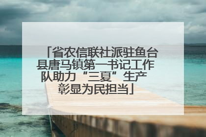 省农信联社派驻鱼台县唐马镇第一书记工作队助力“三夏”生产 彰显为民担当