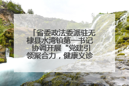 省委政法委派驻无棣县水湾镇第一书记 协调开展“党建引领聚合力，健康义诊惠乡亲”义诊活动