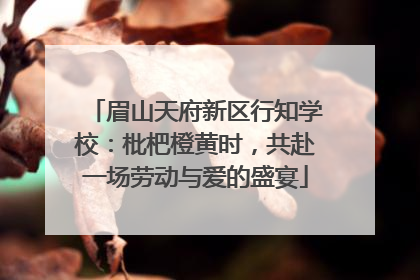 眉山天府新区行知学校：枇杷橙黄时，共赴一场劳动与爱的盛宴