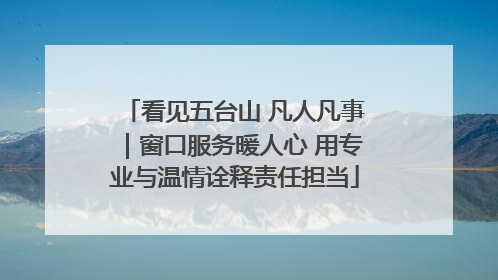 看见五台山 凡人凡事｜窗口服务暖人心 用专业与温情诠释责任担当
