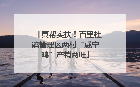 真帮实扶！百里杜鹃管理区两村“威宁鸡”产销两旺
